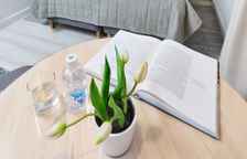 Двухместный номер Standard