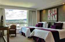 Одноместный полулюкс Executive