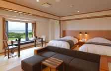 Одноместный номер Deluxe