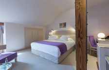 Одноместный номер Standard Мансарда