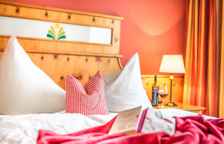 Двухместный номер Classic c 1 комнатой с балконом