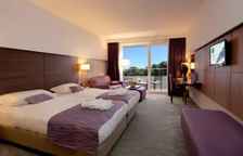 Двухместный номер Superior с балконом