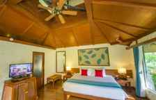 Двухместная Cabana Premium Deluxe с видом на сад