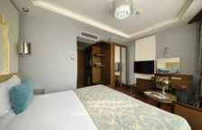 Двухместный номер Superior с видом на город