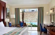 Двухместный номер Swim Up