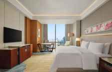 Двухместный номер Skyline