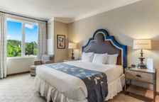 Двухместный номер Premier