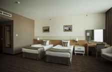 Трёхместный номер Standard