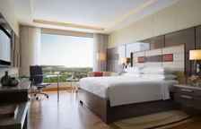 Двухместный люкс Executive lounge access Executive c 1 комнатой с видом на город