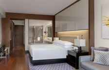 Двухместный номер Large