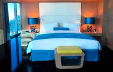 Двухместный люкс Доступ в клуб Millésime Presidential с видом на Бурдж-Халифа