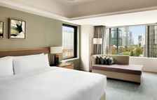 Двухместный люкс City Wing Executive