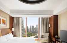 Двухместный номер Grand Tower Executive