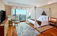 Двухместный люкс Designer by Provasi / Giorgetti / Visionnaire