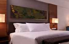 Двухместный клубный номер Premier