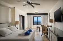 Двухместный Privilege Suite Master