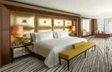 Люкс Presidential Duplex