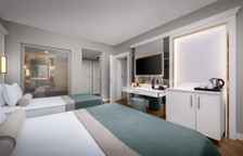 Номер Deluxe Connection с частичным видом