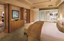 Двухместный люкс Club Lounge Access Ambassador с балконом