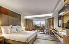 Двухместный номер Swiss Executive