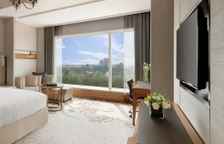 Двухместный номер Bangalore View Horizon