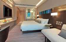 Двухместный номер Tower Cityview