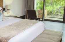 Двухместный люкс Deluxe с видом на сад