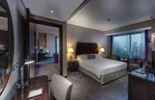 Двухместный люкс Lounge Access c 1 комнатой