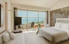 Люкс семейный Roof с балконом и с видом на окрестности