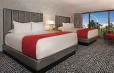 Четырёхместный номер Flamingo Attraction View