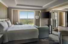 Двухместный люкс клубный Presidential с балконом и с видом на озеро и бассейн