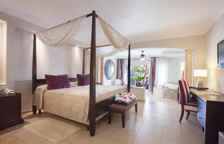 Полулюкс с джакузи Majestic Swim Up