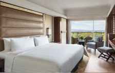 Номер Main Wing Deluxe Connecting