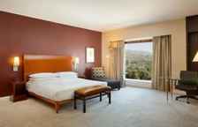 Двухместный люкс Presidential