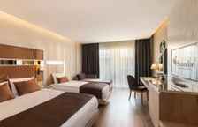 Трёхместный номер Deluxe Superior