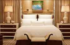 Двухместный Tower Suite клубный Salon