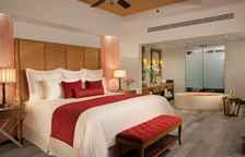 Двухместный люкс клубный Swim Out Master с видом на сад