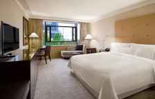 Двухместный номер Deluxe с видом на город