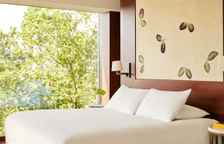 Двухместный люкс Park Corner