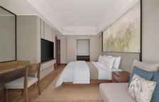 Двухместный номер Premium