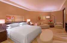 Двухместный люкс Club Lounge Access Presidential c 1 комнатой с видом на океан