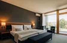 Двухместный номер Superior с видом на горы