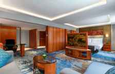 Двухместная Studio Suite Executive