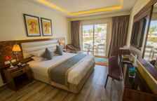 Двухместный номер Deluxe с видом на сад