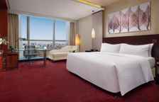 Номер Executive Lounge Access с видом на город