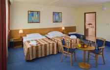 Двухместный номер Executive