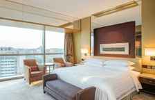 Двухместный люкс Valley Wing Diplomat