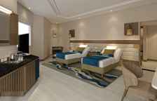 Двухместный люкс Universal Design (для людей с ограниченными возможностями)