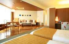 Двухместный полулюкс