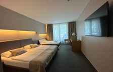 Двухместный номер Extra Bed Standard